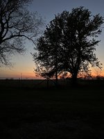 Prairie & Peak Homestead — barn and homestead view